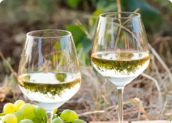 Vino blanco orgánico